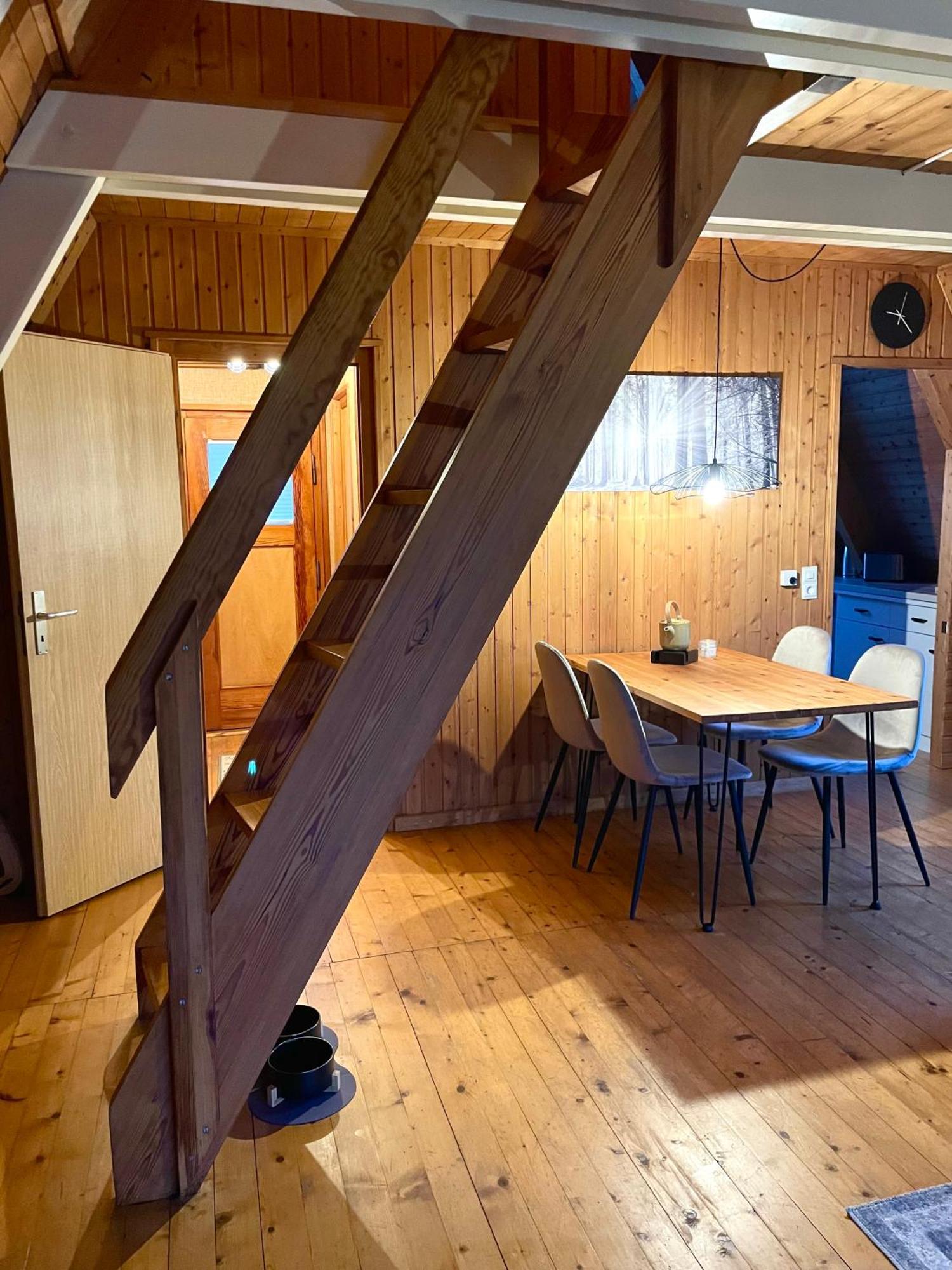 Nur-Dach-Haus Am Alfsee Rieste Zewnętrze zdjęcie